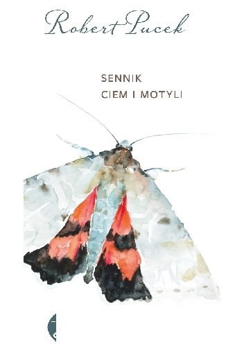 Sennik ciem i motyli