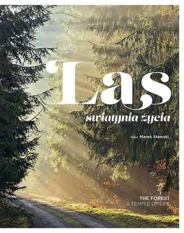 Las świątynia życia etui