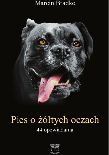 Pies o żółtych oczach