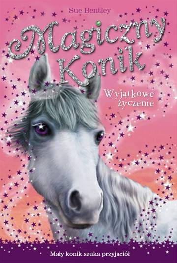Wyjątkowe życzenie magiczny konik