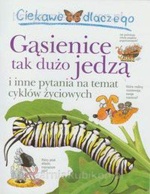 Ciekawe dlaczego gąsienice tak dużo jedzą