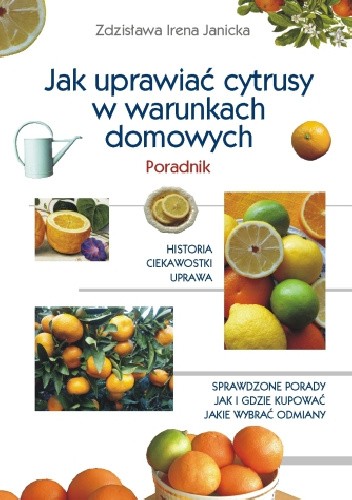 Jak uprawiać cytrusy w warunkach domowych