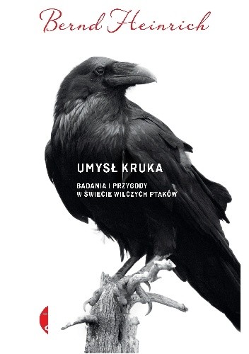 Umysł kruka. Badania i przygody w świecie wilczych ptaków