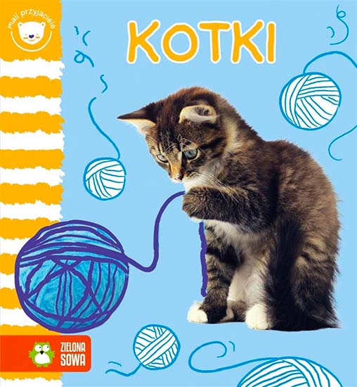 Kotki