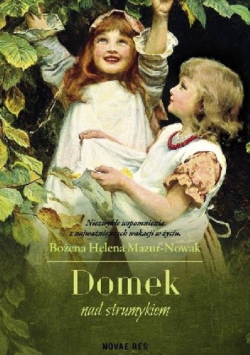 Domek nad strumykiem