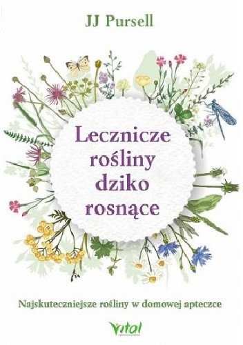 Lecznicze rośliny dziko rosnące. Najskuteczniejsze rośliny w domowej apteczce