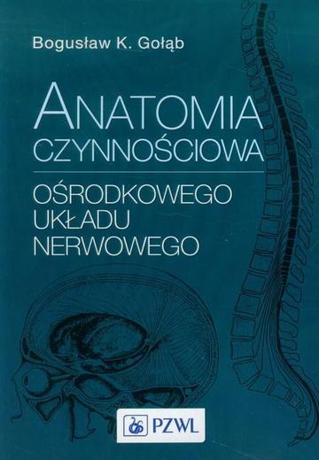 Anatomia czynnościowa ośrodkowego układu nerowowego