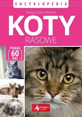 Koty rasowe. Encyklopedia