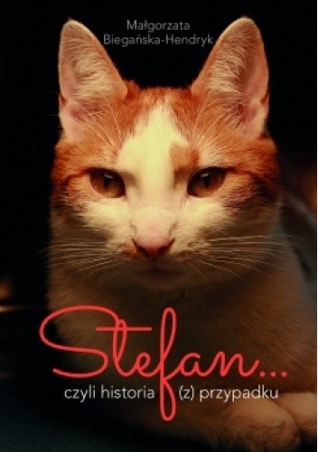 Stefan ? historia (z) przypadku