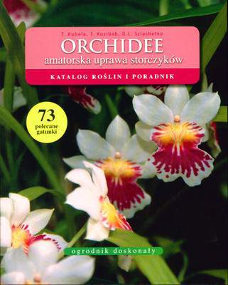 Orchidee amatorska uprawa storczyków