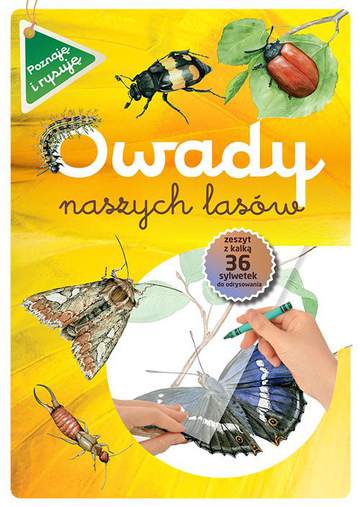 Owady naszych lasów poznaję i rysuję