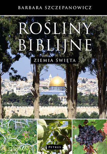 Rośliny biblijne ziemia święta
