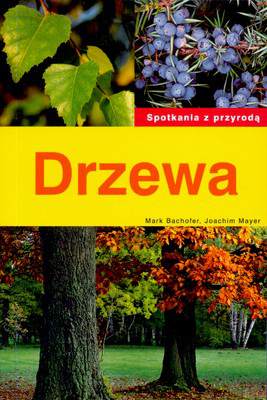 Drzewa spotkanie z przyrodą