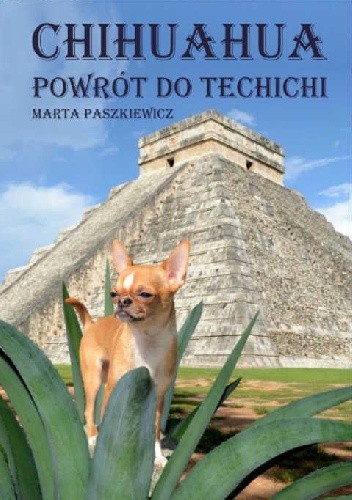 Chihuahua powrót do techichi