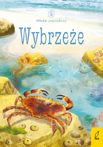 Wybrzeże