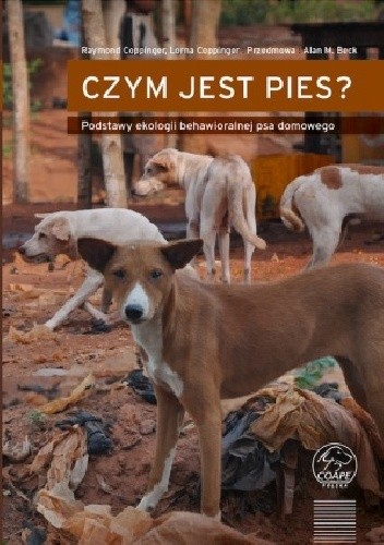 Czym jest pies?