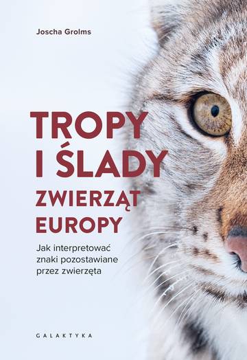 Tropy i ślady zwierząt Europy. Jak interpretować znaki pozostawiane przez zwierzęta