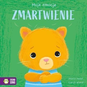 Okładka: Zmartwienie. Moje emocje