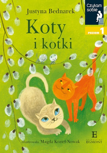 Koty i kotki