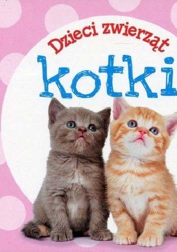 Dzieci zwierząt. Kotki