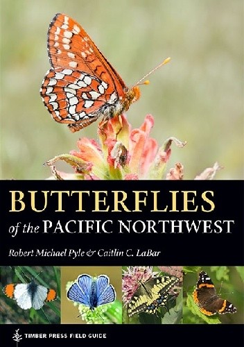 Butterflies of the Pacific Northwest