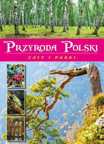Przyroda polski lasy i parki