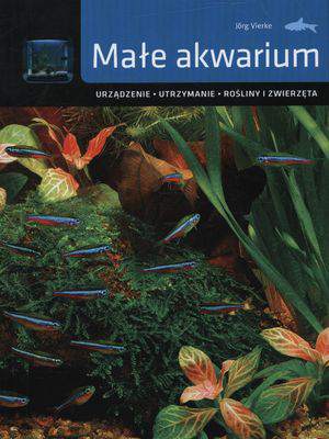 Małe akwarium urządzennie utrzymanie rośliny i zwierzęta