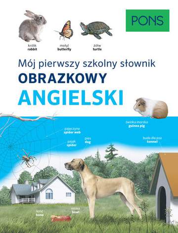 Mój pierwszy szkolny słownik obrazkowy angielski PONS