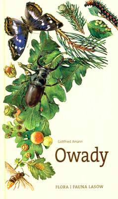 Owady flora i fauna lasów