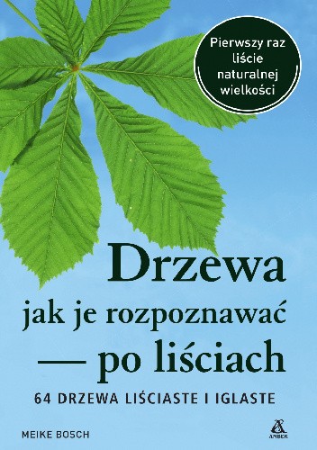 Drzewa - jak je rozpoznać po liściach