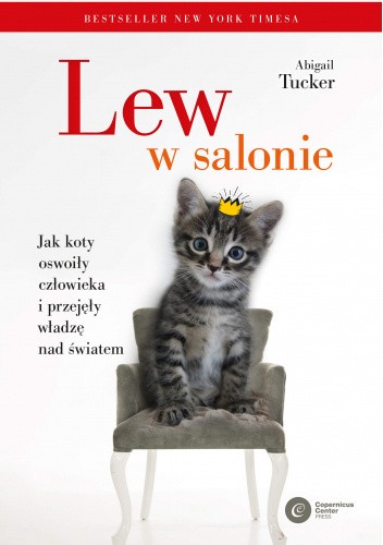 Lew w salonie