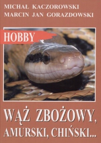 Wąż zbożowy, amurski, chiński