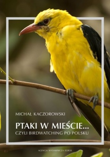 Ptaki w mieście... czyli birdwaching po polsku