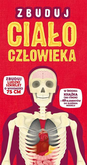 Zbuduj ciało człowieka