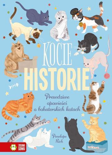 Kocie historie