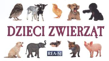 Dzieci zwierząt rozkładanka