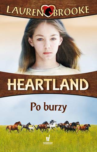 Po burzy heartland Tom 2