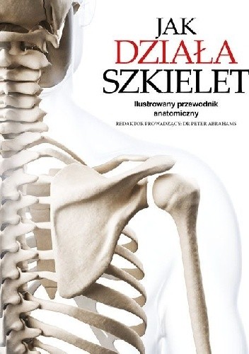 Jak działa szkielet  Ilustrowany przewodnik anatomiczny