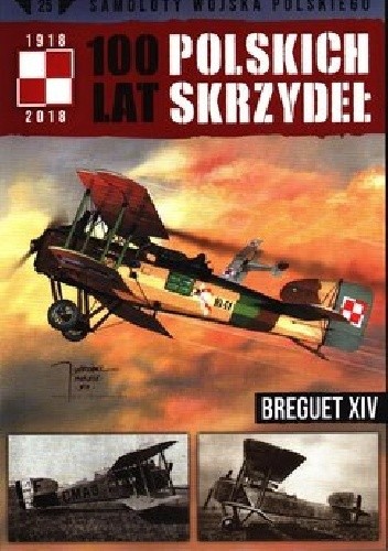 100 Lat Polskich Skrzydeł - Breguet XIV