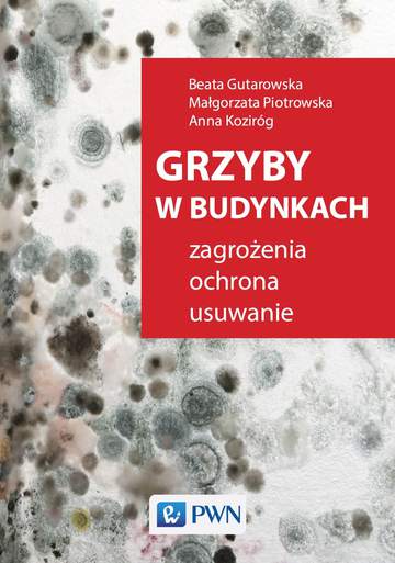 Grzyby w budynkach zagrożenia ochrona usuwanie