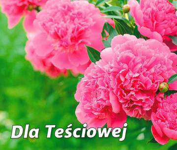 Dla teściowej perełki