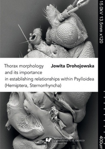 Thorax morphology and its importance in establishing relationships within Psylloidea (Hemiptera, Sternorrhyncha)