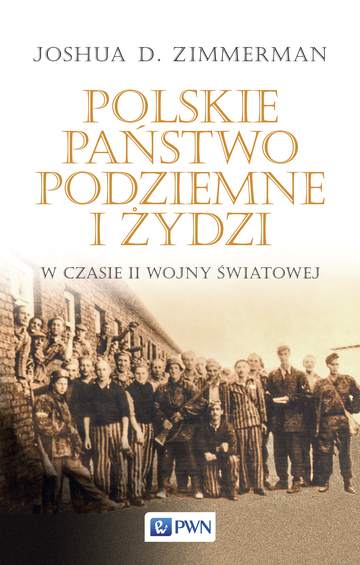 Polskie państwo podziemne i żydzi w czasie ii wojny światowej
