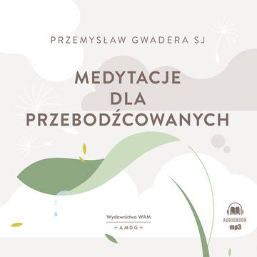 CD MP3 Medytacje dla przebodźcowanych