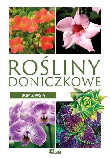 Rośliny doniczkowe dom z pasją