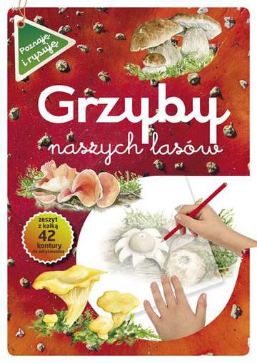 Grzyby naszych lasów poznaję i rysuję