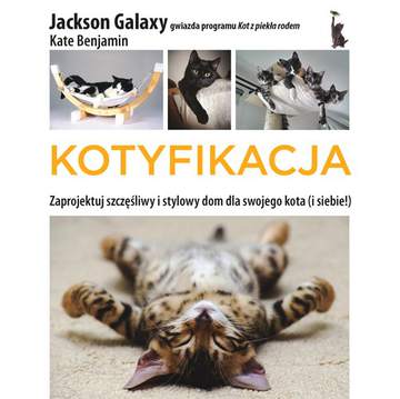 Kotyfikacja zaprojektuj szczęśliwy i stylowy dom dla swojego kota i dla siebie