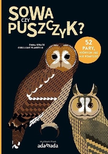 Sowa czy puszczyk?
