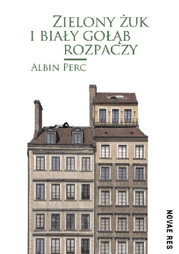 Zielony żuk i biały gołąb rozpaczy