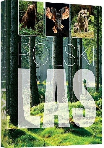 Polski las